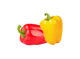 Pimentão Colorido