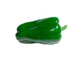 Pimentão Verde